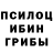Псилоцибиновые грибы Psilocybe propellane