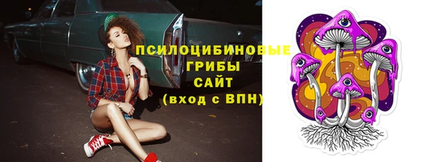 таблы Алексин