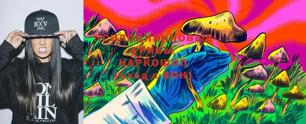таблы Алексин