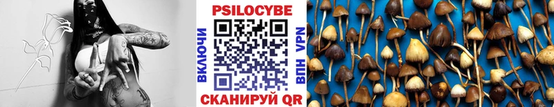 Псилоцибиновые грибы Magic Shrooms Кириши
