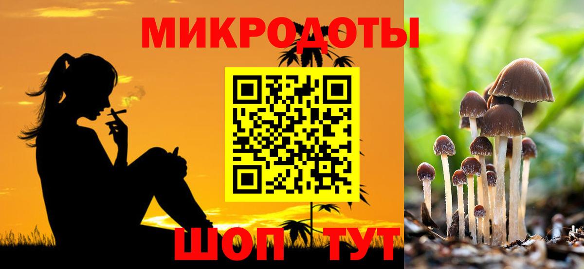 Галлюциногенные грибы GOLDEN TEACHER  что такое наркотик  Вход с VPN  Кириши  Галлюциногенные грибы ЛСД 